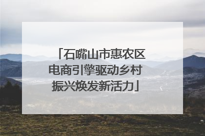 石嘴山市惠农区电商引擎驱动乡村振兴焕发新活力