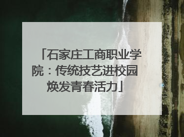石家庄工商职业学院：传统技艺进校园焕发青春活力