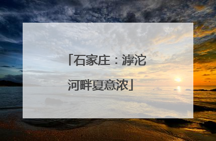 石家庄：滹沱河畔夏意浓