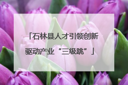 石林县人才引领创新驱动产业“三级跳”