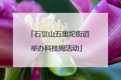石景山五里坨街道举办科技周活动