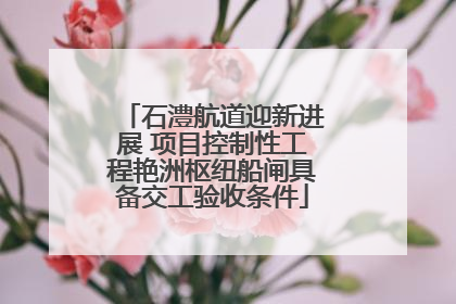 石澧航道迎新进展 项目控制性工程艳洲枢纽船闸具备交工验收条件