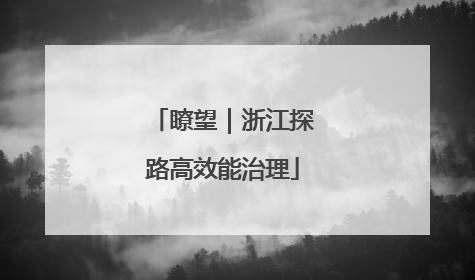 瞭望｜浙江探路高效能治理