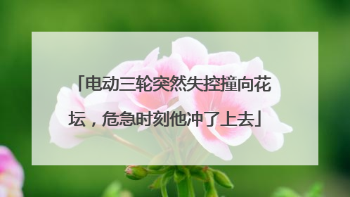 电动三轮突然失控撞向花坛，危急时刻他冲了上去