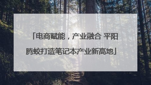电商赋能，产业融合 平阳腾蛟打造笔记本产业新高地