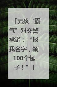 男孩“霸气”对交警承诺：“报我名字，领100个包子！”