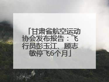甘肃省航空运动协会发布报告：飞行员彭玉江、顾志敏停飞6个月