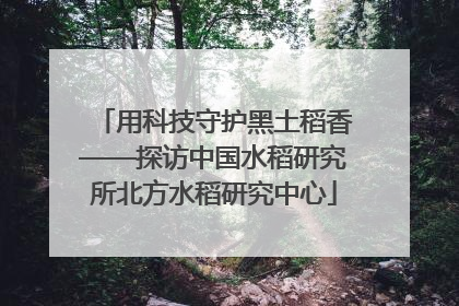 用科技守护黑土稻香——探访中国水稻研究所北方水稻研究中心