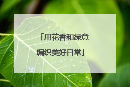 用花香和绿意编织美好日常
