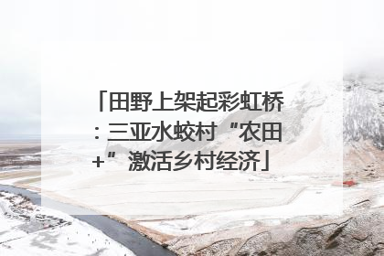 田野上架起彩虹桥：三亚水蛟村“农田+”激活乡村经济
