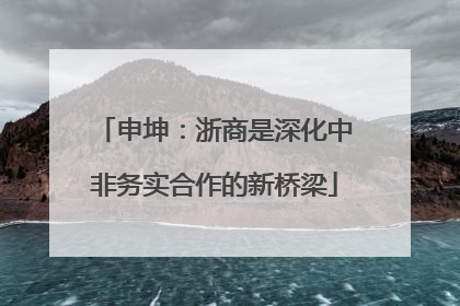 申坤：浙商是深化中非务实合作的新桥梁