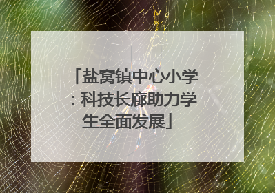 盐窝镇中心小学：科技长廊助力学生全面发展