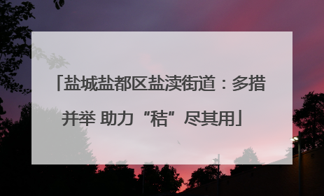 盐城盐都区盐渎街道：多措并举 助力“秸”尽其用