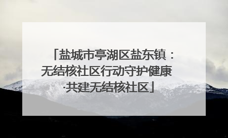 盐城市亭湖区盐东镇：无结核社区行动守护健康 ·共建无结核社区