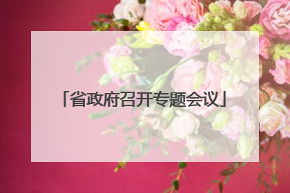 省政府召开专题会议