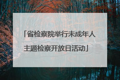 省检察院举行未成年人主题检察开放日活动