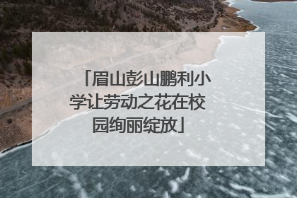 眉山彭山鹏利小学让劳动之花在校园绚丽绽放