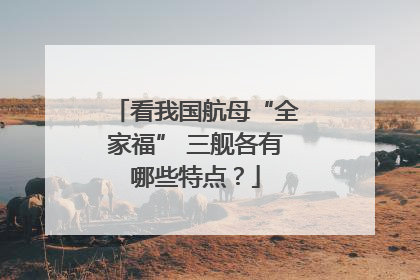 看我国航母“全家福” 三舰各有哪些特点？