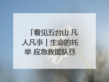 看见五台山 凡人凡事｜生命的托举 应急救援队昼夜连续作战成功救出两批被困游客