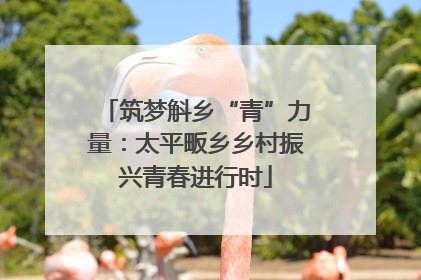 筑梦斛乡“青”力量：太平畈乡乡村振兴青春进行时