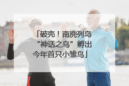 破壳！南麂列岛“神话之鸟”孵出今年首只小雏鸟