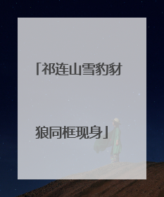 祁连山雪豹豺狼同框现身