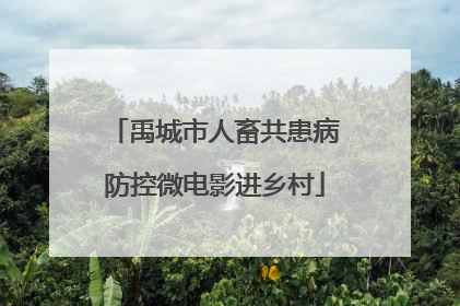 禹城市人畜共患病防控微电影进乡村