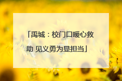 禹城：校门口暖心救助 见义勇为显担当