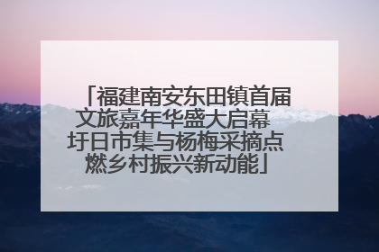 福建南安东田镇首届文旅嘉年华盛大启幕 圩日市集与杨梅采摘点燃乡村振兴新动能