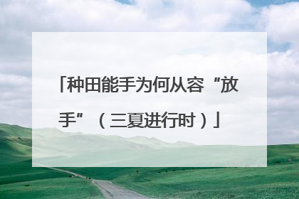 种田能手为何从容“放手”（三夏进行时）