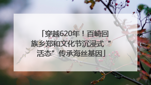 穿越620年！百崎回族乡郑和文化节沉浸式“活态”传承海丝基因
