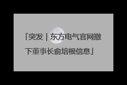 突发｜东方电气官网撤下董事长俞培根信息