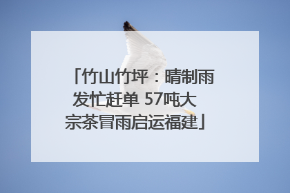 竹山竹坪：晴制雨发忙赶单 57吨大宗茶冒雨启运福建