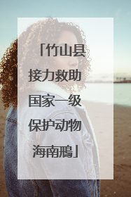 竹山县接力救助国家一级保护动物海南鳽