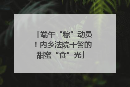 端午“粽”动员！内乡法院干警的甜蜜“食”光