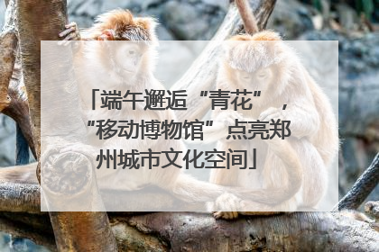 端午邂逅“青花”，“移动博物馆”点亮郑州城市文化空间