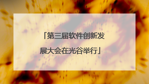 第三届软件创新发展大会在光谷举行