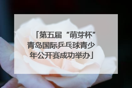 第五届“萌芽杯”青岛国际乒乓球青少年公开赛成功举办