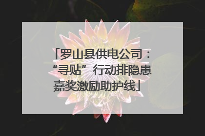 罗山县供电公司：“寻贴”行动排隐患 嘉奖激励助护线