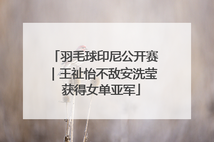羽毛球印尼公开赛｜王祉怡不敌安洗莹 获得女单亚军