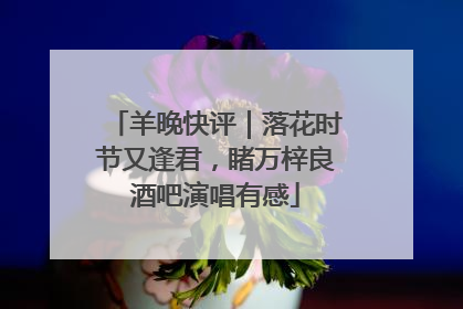 羊晚快评｜落花时节又逢君，睹万梓良酒吧演唱有感