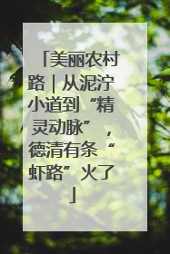 美丽农村路｜从泥泞小道到“精灵动脉”，德清有条“虾路”火了