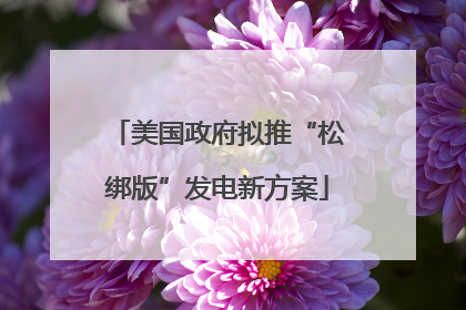 美国政府拟推“松绑版”发电新方案