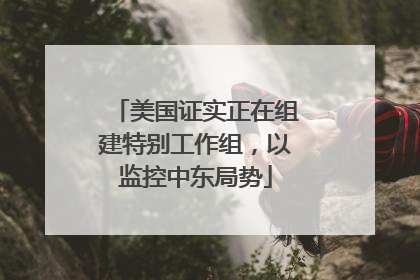 美国证实正在组建特别工作组，以监控中东局势