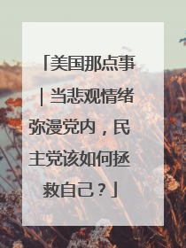 美国那点事｜当悲观情绪弥漫党内，民主党该如何拯救自己？