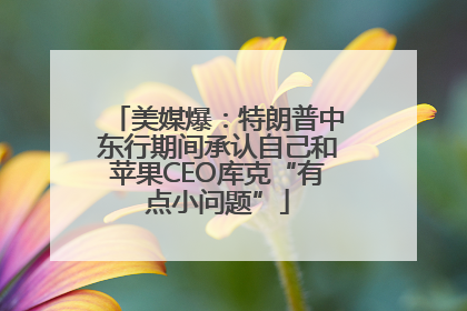 美媒爆：特朗普中东行期间承认自己和苹果CEO库克“有点小问题”