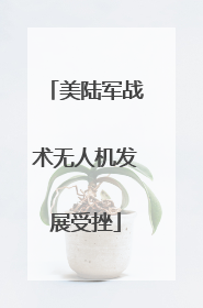 美陆军战术无人机发展受挫