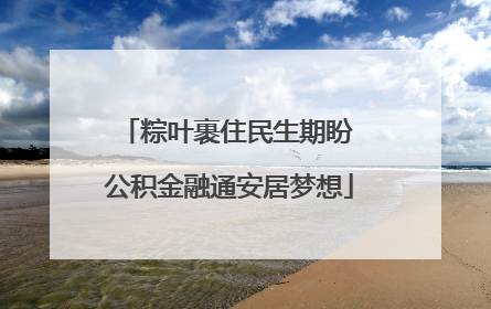 粽叶裹住民生期盼 公积金融通安居梦想