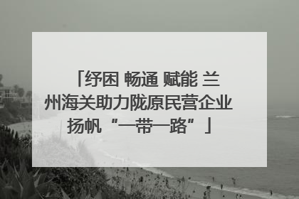 纾困 畅通 赋能 兰州海关助力陇原民营企业扬帆“一带一路”