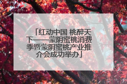 红动中国 桃醉天下——蒙阴蜜桃消费季暨蒙阴蜜桃产业推介会成功举办